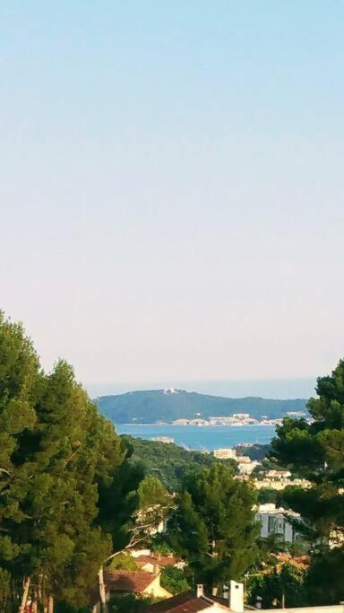 Villa Contemporaine F5 Cote Azur Ollioules Calme 외부 사진