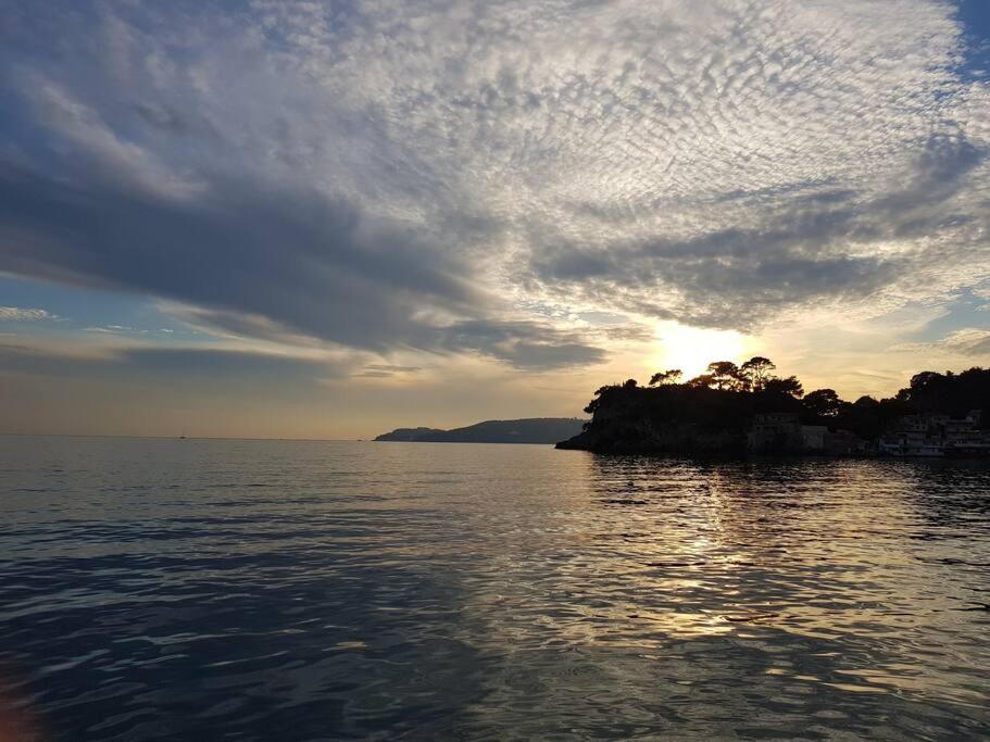 Villa Contemporaine F5 Cote Azur Ollioules Calme 외부 사진