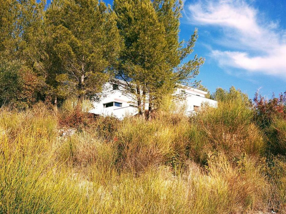 Villa Contemporaine F5 Cote Azur Ollioules Calme 외부 사진
